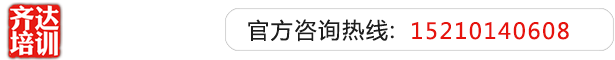 大鸡巴操骚逼喷水齐达艺考文化课-艺术生文化课,艺术类文化课,艺考生文化课logo